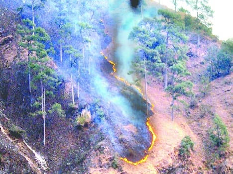 A major fire in the forest to see the van panchayat